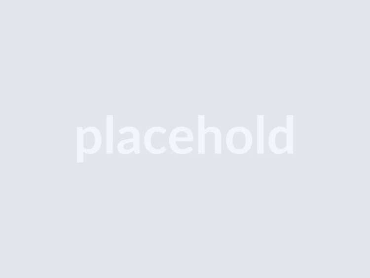 Detailed description of the picture